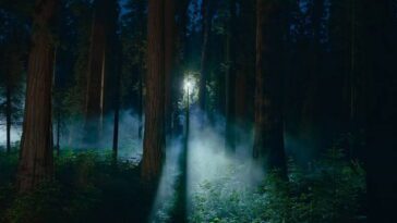Découvrez les nouveaux fonds d'écran qui sont arrivés dans la dernière bêta de macOS Sequoia