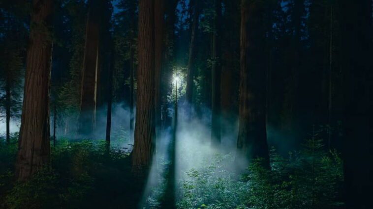Découvrez les nouveaux fonds d'écran qui sont arrivés dans la dernière bêta de macOS Sequoia 1 Découvrez les nouveaux fonds d'écran qui sont arrivés dans la dernière bêta de macOS Sequoia