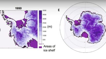 L'Antarctique se soulève et risque de provoquer une catastrophe globale : mais pouvons-nous l'éviter 25 Credit: ScienceAdvance