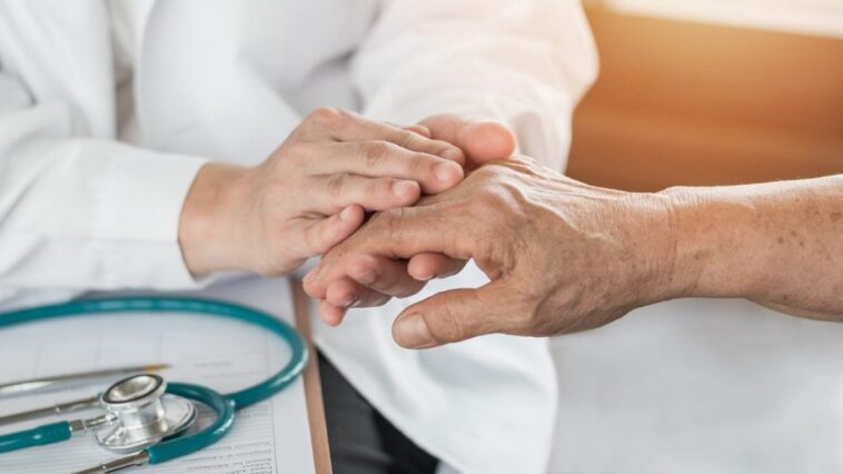 L'algue protège les neurones et améliore les symptômes de Parkinson dans les tests : possible médicament préventif 1 Image