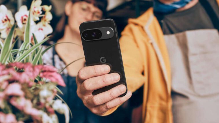 Le Zoom Enhance de Google est déjà arrivé et ces images montrent de quoi il est capable 1 Zoom Enhance Google Pixel photographies images
