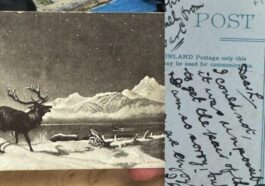 Le mystère de la carte postale envoyée en 1903 et arrivée cette année : on cherche les parents de la destinataire 56 Image