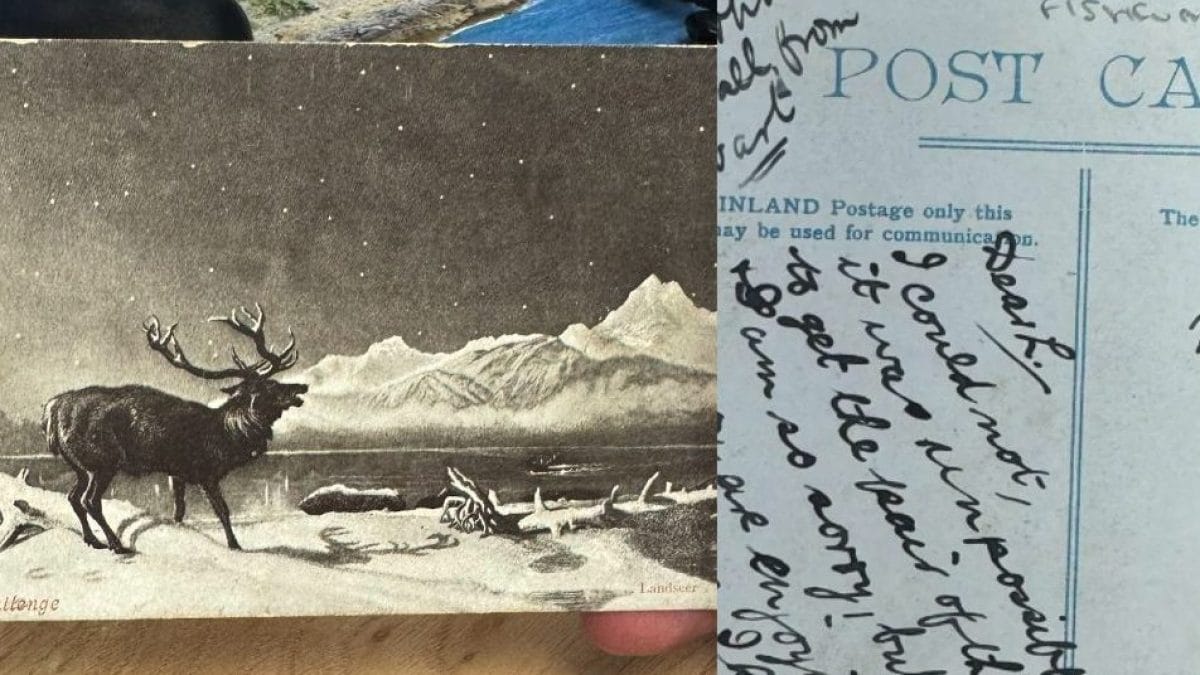 Le mystère de la carte postale envoyée en 1903 et arrivée cette année : on cherche les parents de la destinataire 2 Image