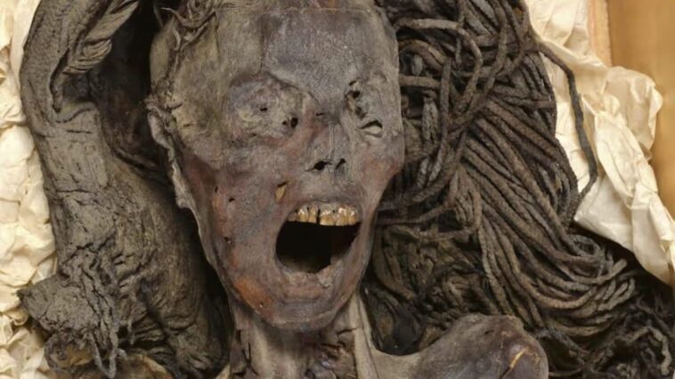 Le mystère de la momie hurlante : nous savons désormais pourquoi elle a un rictus de douleur depuis des millénaires 1 Image