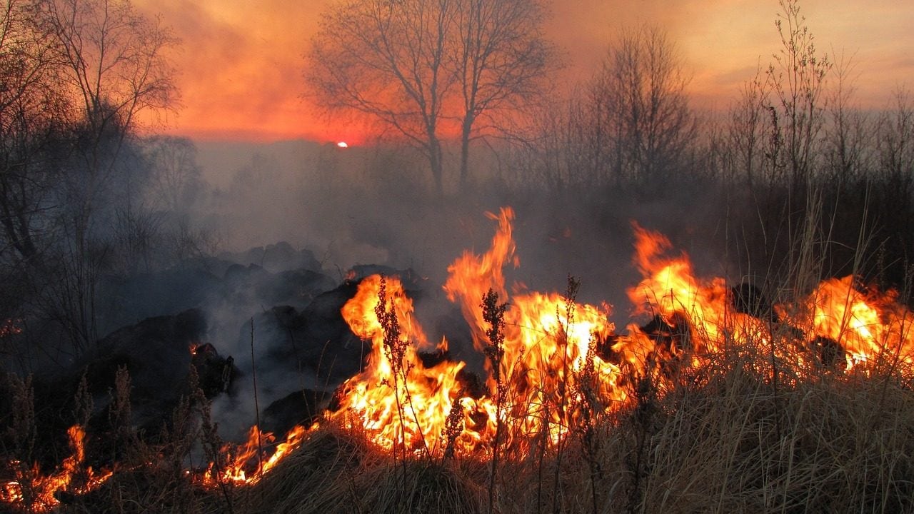 Les incendies au Canada en 2023 ont émis 2 milliards de tonnes de CO2 : c'est un problème énorme 3 Image