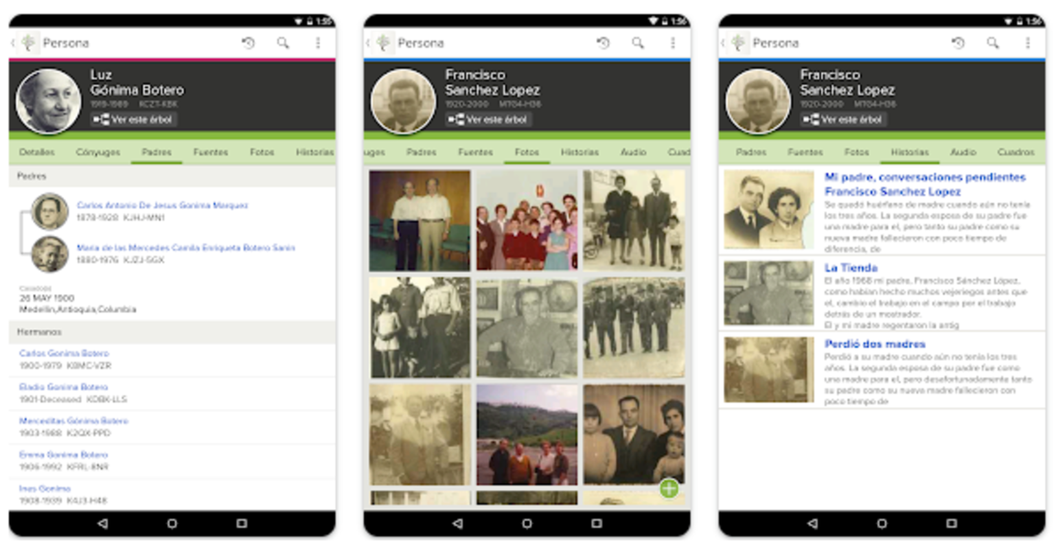 Les meilleures applications pour faire des arbres généalogiques gratuits et en ligne 3 Familysearch vous permet de créer votre arbre généalogique depuis votre mobile