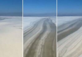 La mucilagine au large de Pesaro, où les taches flottantes couvrent des dizaines de kilomètres de côte / Crédit : X/@totospanu