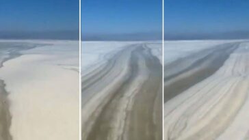 Mer envahie par la mucilage : ce que c'est, comment elle se forme et pourquoi les taches sont plus fréquentes dans l'Adriatique 28 La mucilagine au large de Pesaro, où les taches flottantes couvrent des dizaines de kilomètres de côte / Crédit : X/@totospanu