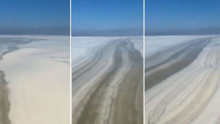 Mer envahie par la mucilage : ce que c'est, comment elle se forme et pourquoi les taches sont plus fréquentes dans l'Adriatique 1 La mucilagine au large de Pesaro, où les taches flottantes couvrent des dizaines de kilomètres de côte / Crédit : X/@totospanu