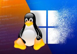 Windows Linux dual-boot mise à jour Microsoft