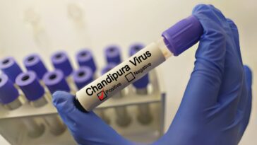 Nouvelle épidémie de Chandipura en Inde : qu'est-ce que le virus qui attaque le cerveau des enfants 19 Image