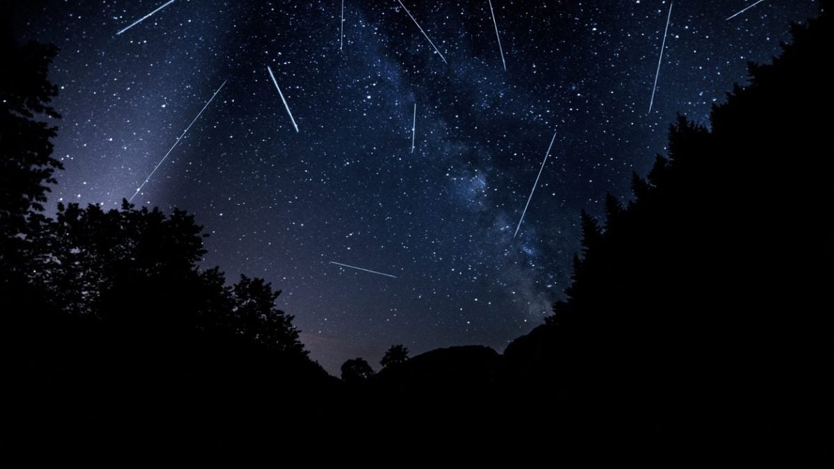 Nuit de San Lorenzo 2024 : que sont les Perséides, quand et pourquoi voit-on les étoiles filantes 2 Image