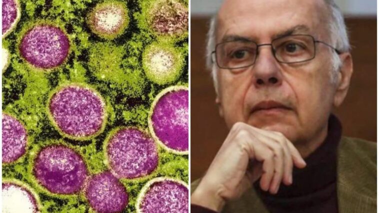 Pourquoi beaucoup pourraient déjà être immunisés contre la variole des singes : les réponses de Rezza 1 Image
