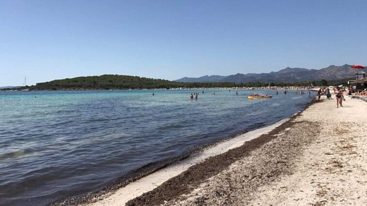 Pourquoi la couleur de l'eau de Cala Brandinchi a-t-elle changé : l'explication de l'aire marine protégée 1 Une photo de la plage de Cala Brandinchi, San Teodoro, Sardaigne