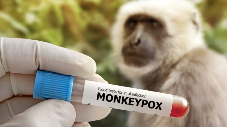 Pourquoi la variole simienne s'appelle-t-elle ainsi si les singes ne sont pas le réservoir du virus 1 Image
