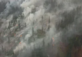 SOS Emergência via Satélite salva a vida de quatro pessoas cercadas num incêndio florestal