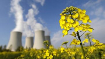 "Tourisme nucléaire" : La Chine a autorisé le public à visiter des centrales nucléaires à travers le pays 2 Energie nucléaire