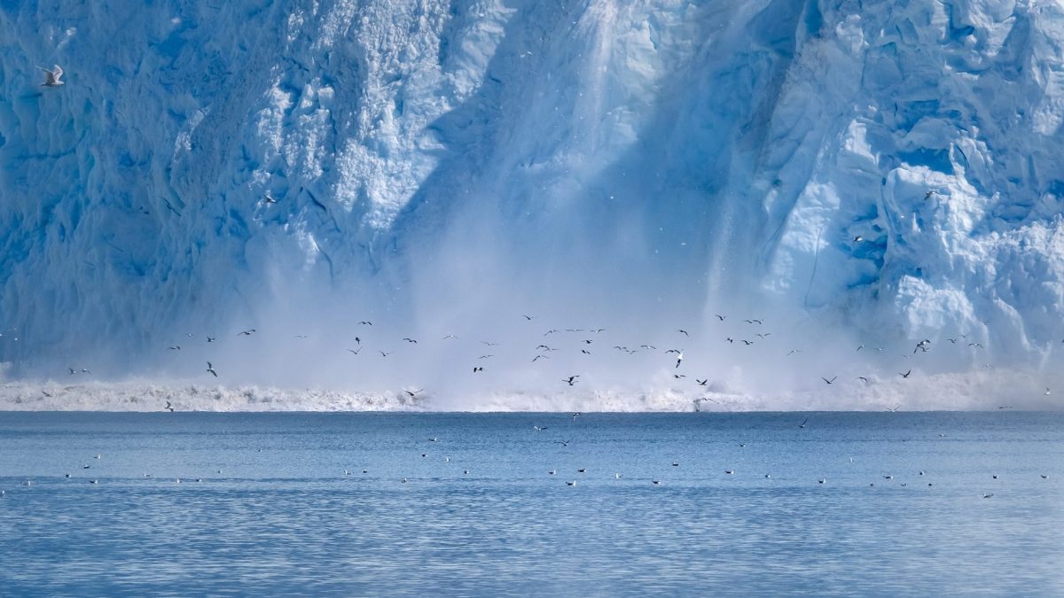 Un mégatsunami a frappé le Groenland en 2023 : onde haute de 200 mètres générée par un effondrement colossal 2 Tsunami généré par un effondrement de glace au Groenland