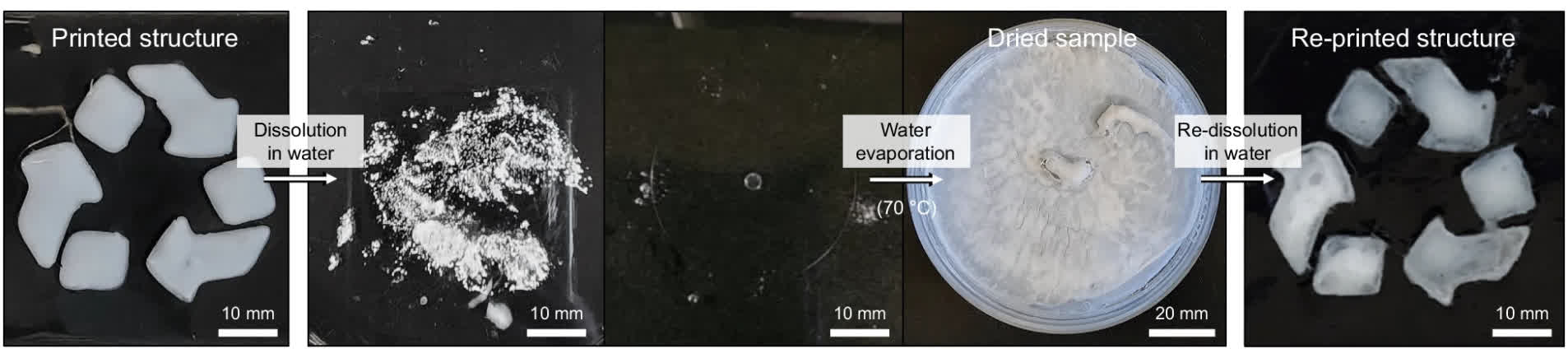 Un polymère soluble dans l'eau salée s'avère prometteur comme encre d'impression 3D recyclable 2 Un polymere soluble dans leau salee savere prometteur comme encre