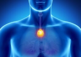Le thym est une glande lymphatique située dans la poitrine, devant la trachée, dont la fonction est de maturer les cellules T (lymphocytes T)