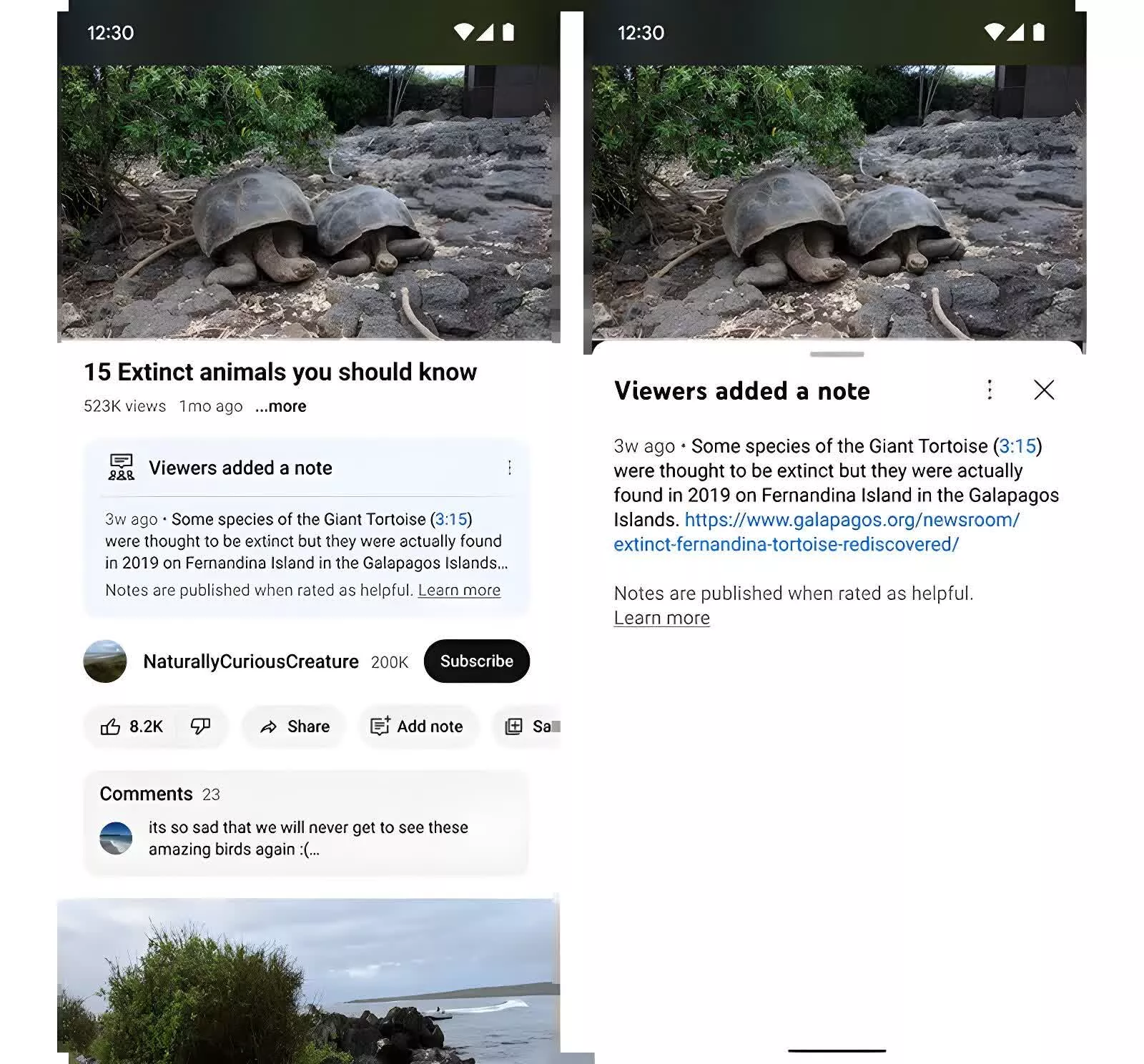 YouTube teste des notes communautaires de type Twitter pour lutter contre la désinformation 2 YouTube teste des notes communautaires de type Twitter pour lutter