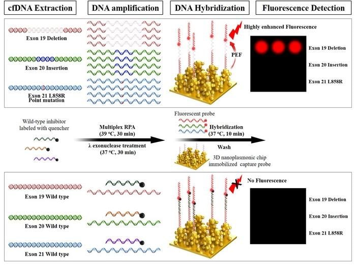 Nouveau test révèle les mutations du cancer 100.000 fois mieux que les autres : possible révolution 4 Crédit: Korea Institute of Materials Science (KIMS)