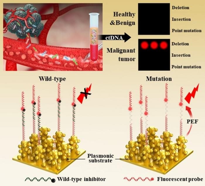 Nouveau test révèle les mutations du cancer 100.000 fois mieux que les autres : possible révolution 3 Crédit: Korea Institute of Materials Science (KIMS)
