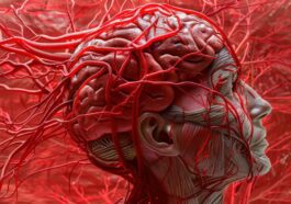Scientists create tiny robots that can safely treat brain aneurysms