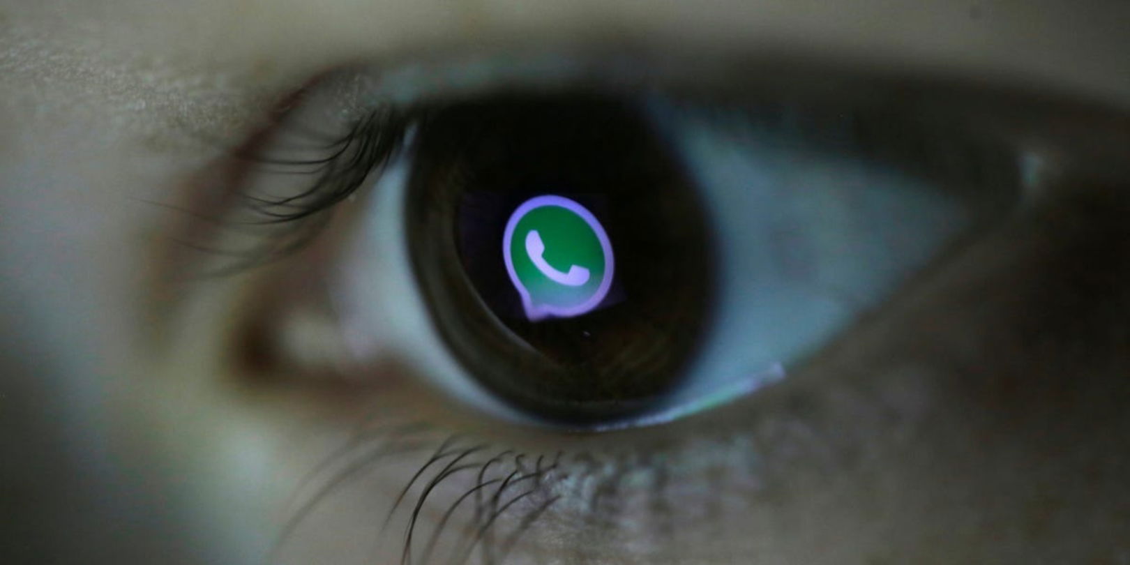 WhatsApp avertit-il des captures d'écran des Statuts ou des photos qui se détruisent automatiquement 3 WhatsApp avertit si vous capturez l'écran d'un État
