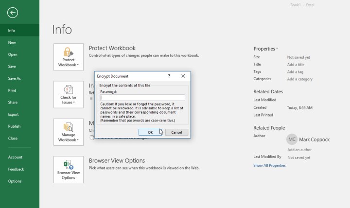 Comment protéger par mot de passe un fichier Excel sur Windows et Mac 4 Excel demandant à l'utilisateur de créer et saisir un mot de passe pour le document.