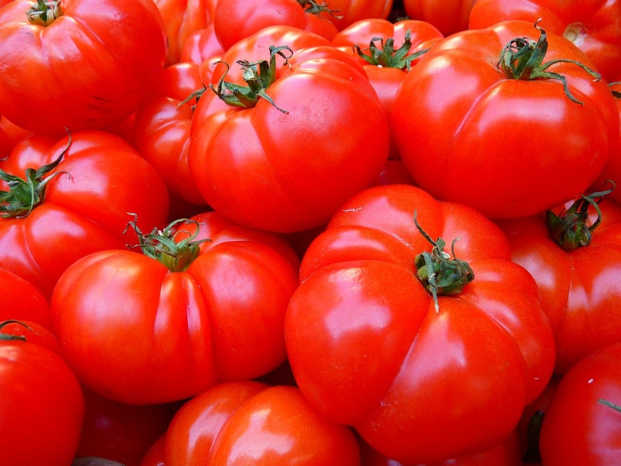 Pourquoi les fraises que vous achetez au supermarché ne sont pas de vrais fruits 5 Les tomates sont de vrais fruits