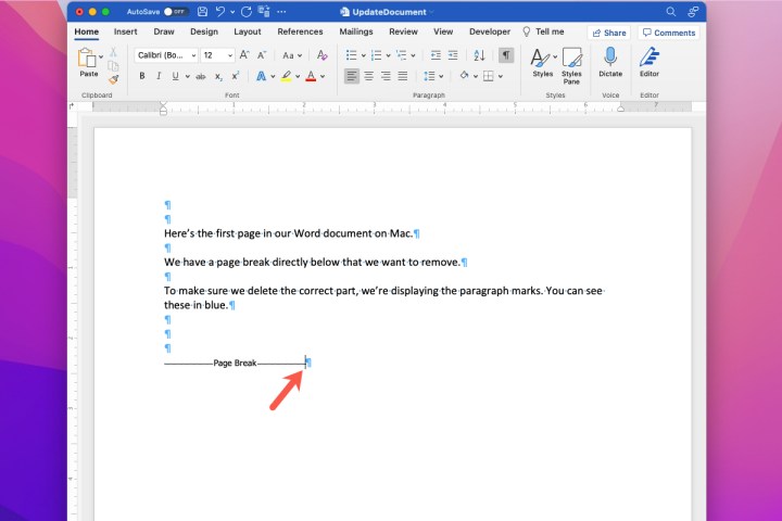 comment supprimer une coupure de page dans word mac curseur