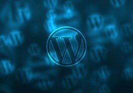 Automattic and WP Engine go to war, the latter gets banned from using WordPress.org resources