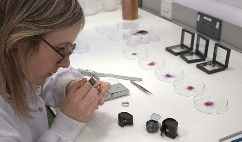 Une scientifique fait croître un magnifique rubis sur une bague en platine et révolutionne la bijouterie 3 Sofie Boons. Crédit : UWE