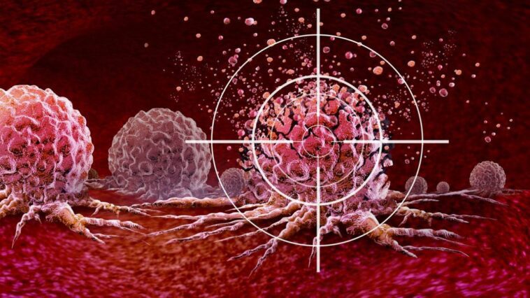 Certains cancers sont plus fréquents chez les personnes plus grandes : comment est-ce possible 1 Image