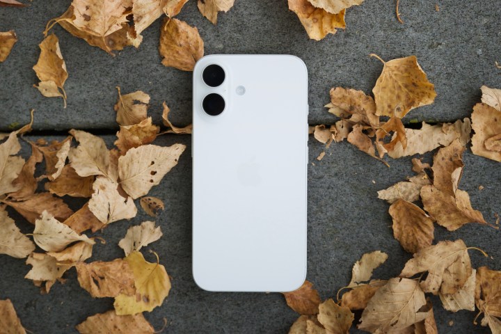 C'était une semaine énorme pour l'IA. Voici les 5 plus grandes annonces 2 Un iPhone 16 blanc posé à l'extérieur, face vers le bas, entouré de feuilles.
