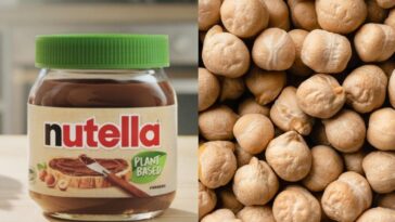 Comment est faite le Nutella vegan et sans gluten : quels ingrédients contient-il et pourquoi y a-t-il des pois chiches 12 Image