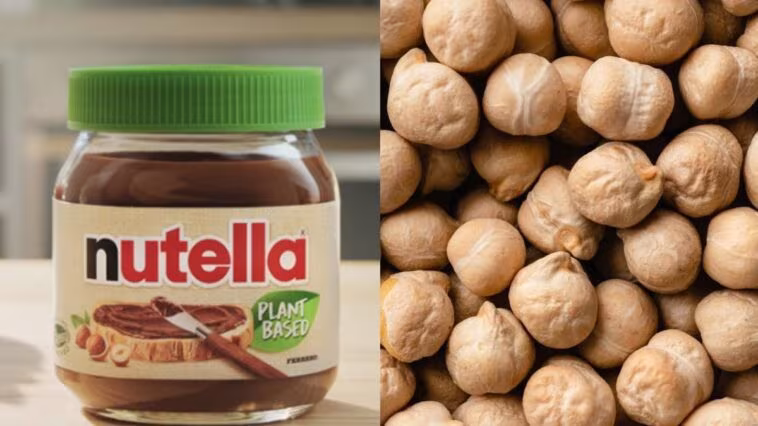 Comment est faite le Nutella vegan et sans gluten : quels ingrédients contient-il et pourquoi y a-t-il des pois chiches 1 Image