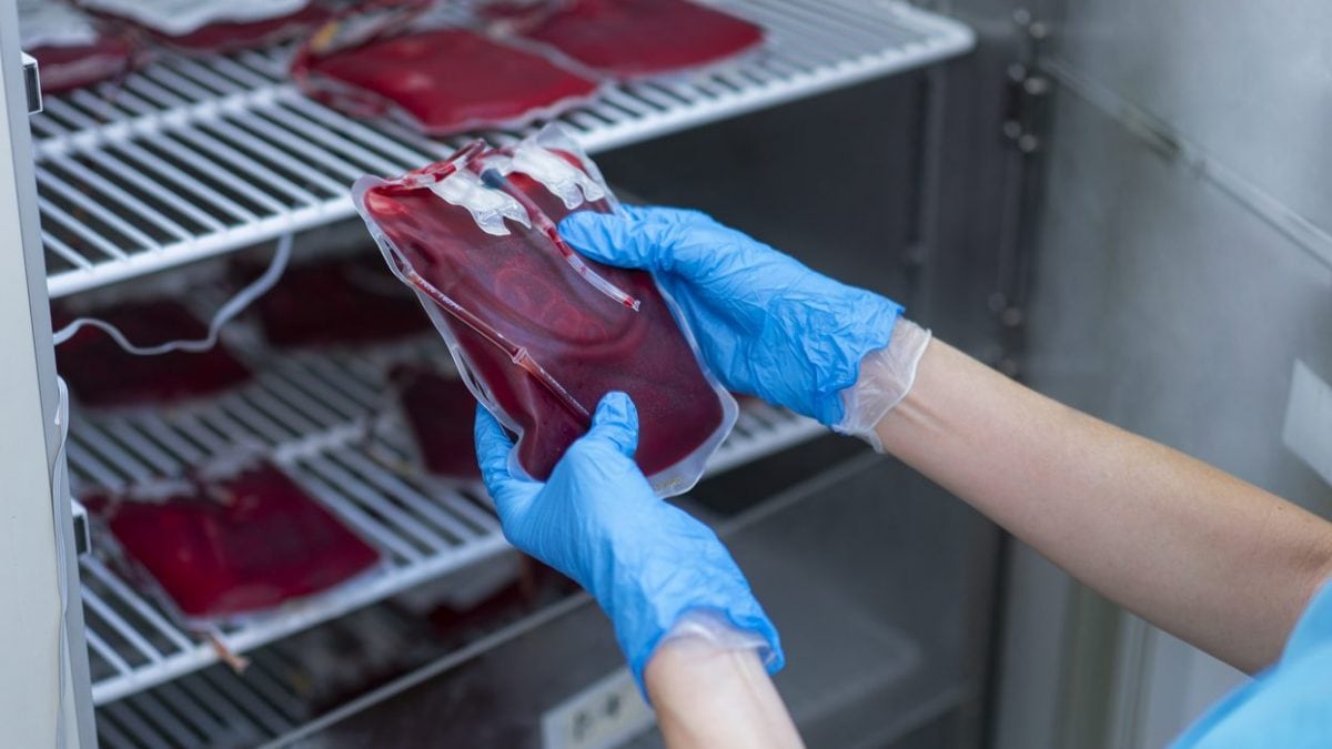 Création d'un sang universel permettant des transfusions entre groupes sanguins et même entre espèces différentes 2 Image