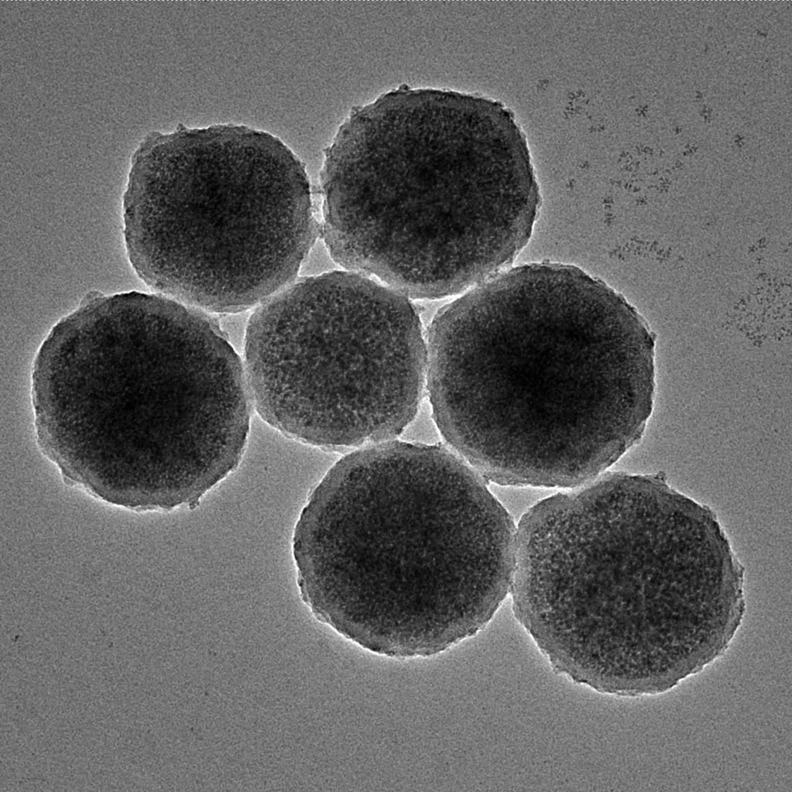 Des scientifiques créent de minuscules robots capables de traiter en toute sécurité les anévrismes cérébraux 2 Des scientifiques creent de minuscules robots capables de traiter en