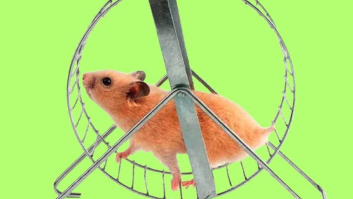 Il existe un moyen de découvrir de la nouvelle musique sans devenir un hamster dans la roue de l'algorithme 2 Image