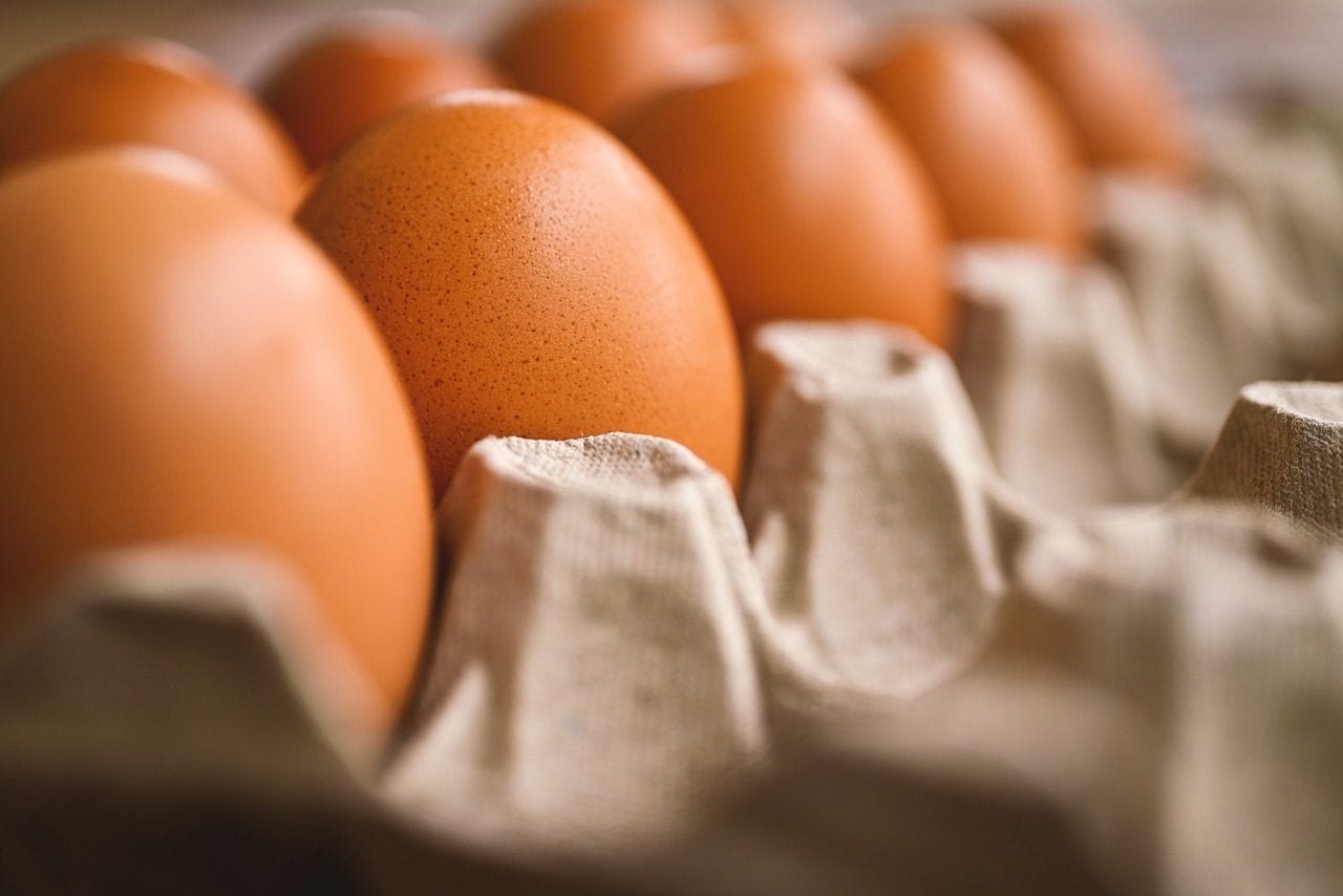 Il mange 720 œufs en un mois et son mauvais cholestérol diminue de 20% : comment est-ce possible 3 Immagine