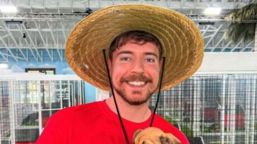 Les accusations contre MrBeast : les vidéos du plus grand youtubeur du monde sont-elles fausses ? 2 Immagine