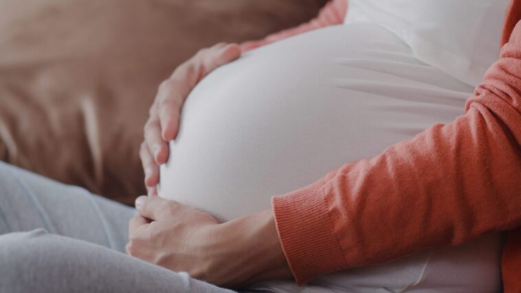 L'obésité pendant la grossesse double le risque d'autisme chez les enfants : les résultats de l'étude 1 Immagine