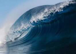 L'un des plus grands tsunamis enregistrés dans l'histoire récente a fait trembler la Terre pendant 9 jours 23 L'un Des Plus Grands Tsunamis Enregistrés Dans L'histoire Récente A Fait Trembler La Terre Pendant 9 Jours