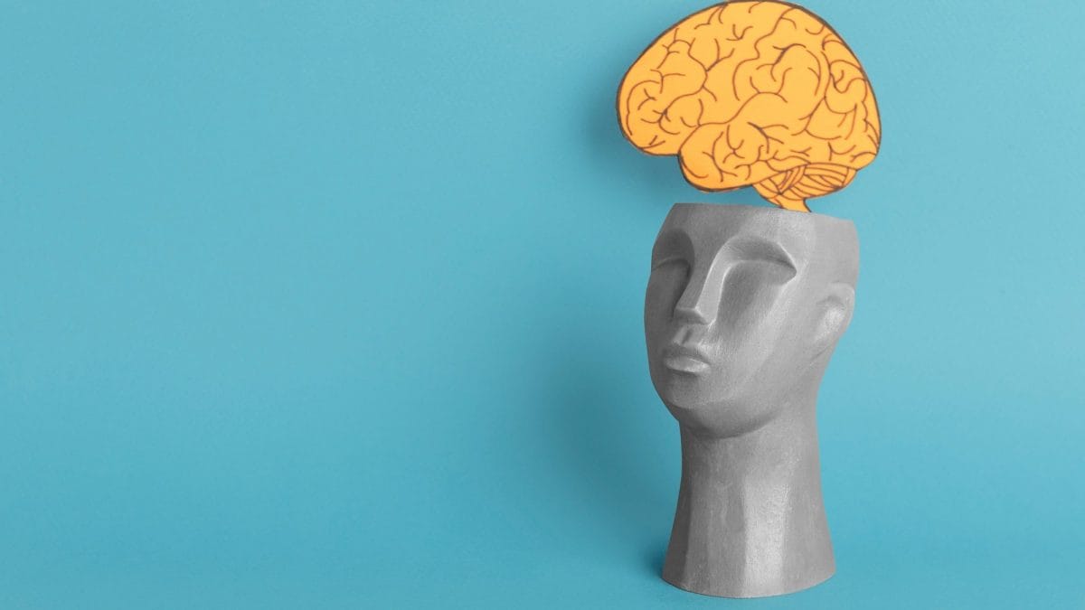 “Nous aurons tous une puce dans le cerveau dans les prochaines années : elle nous servira à améliorer notre mémoire” 2 Image