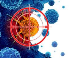 Les infections causées par certains bactéries et virus, comme H. pylori et le papillomavirus humain (HPV), augmentent le risque de cancer / Photo Credit: iStock