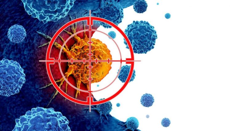 Plus d'un cancer sur dix est causé par des virus et des bactéries : quels sont les plus courants et comment se protéger 1 Les infections causées par certains bactéries et virus, comme H. pylori et le papillomavirus humain (HPV), augmentent le risque de cancer / Photo Credit: iStock