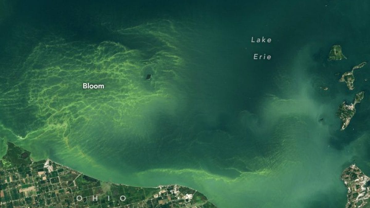 Pourquoi ce grand lac aux États-Unis est devenu vert et dangereux : les images depuis l'espace 2 Le lac Érié teint de vert. Crédit : NASA / NOAA / Wanmei Liang / U.S. Geological Survey.