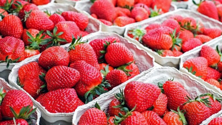 Pourquoi les fraises que vous achetez au supermarché ne sont pas de vrais fruits 1 Image